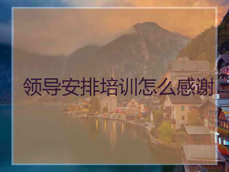 领导安排培训怎么感谢