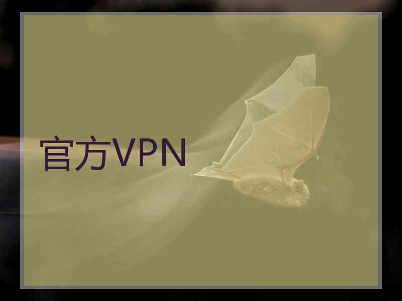 官方VPN