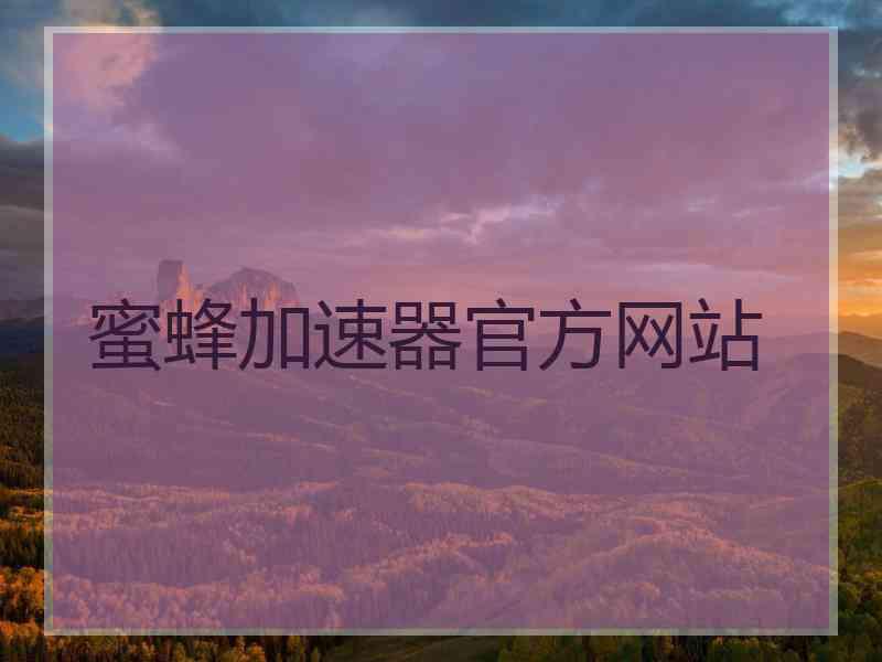 蜜蜂加速器官方网站
