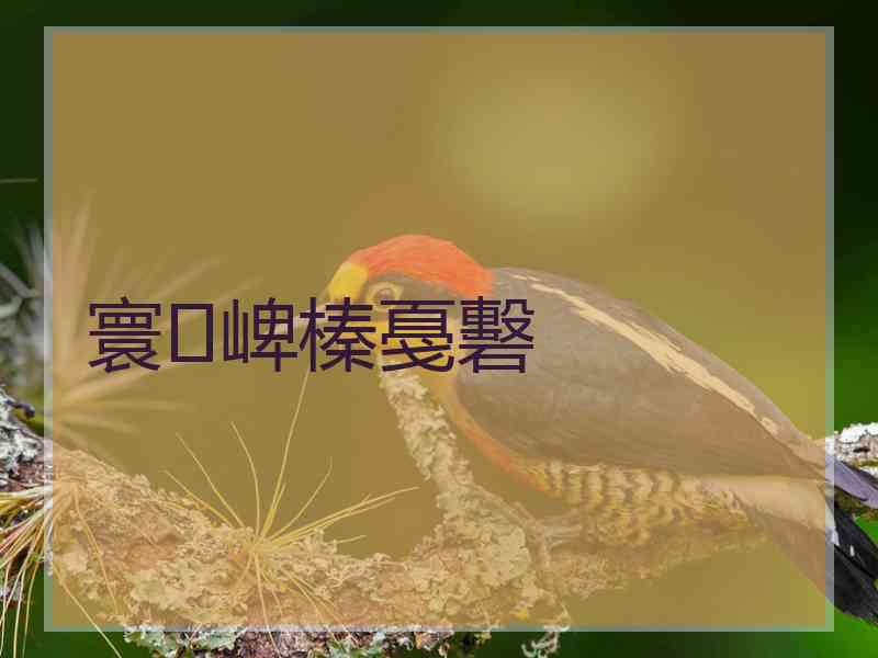 寰崥榛戞礊