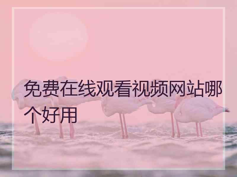免费在线观看视频网站哪个好用