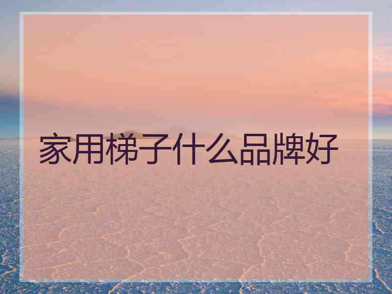 家用梯子什么品牌好