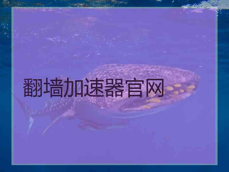 翻墙加速器官网