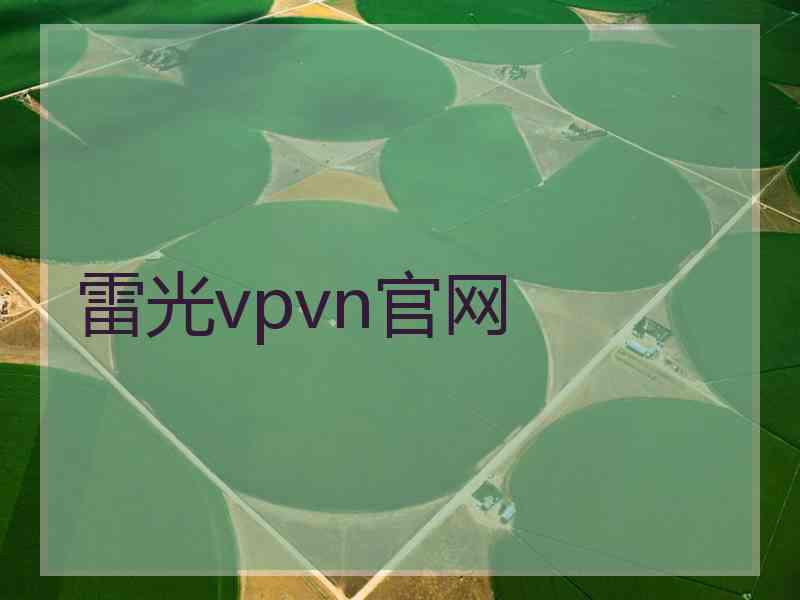 雷光vpvn官网