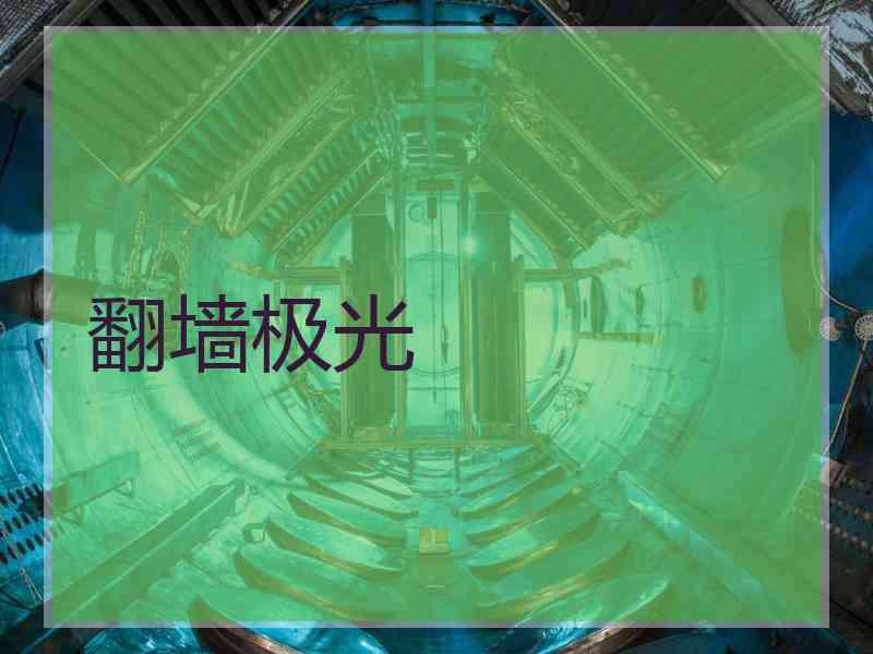 翻墙极光