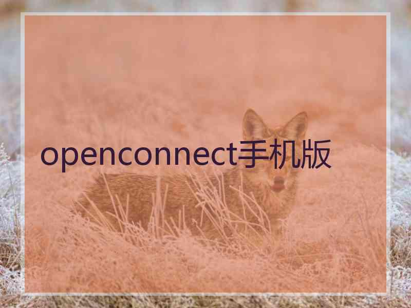 openconnect手机版