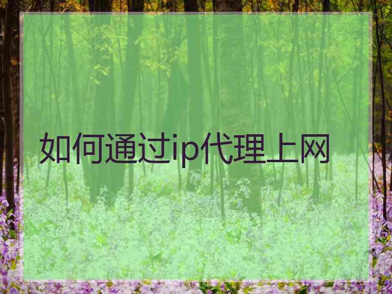 如何通过ip代理上网