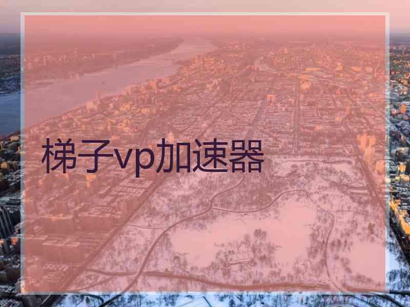 梯子vp加速器