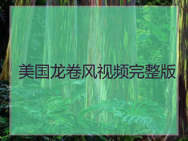 美国龙卷风视频完整版