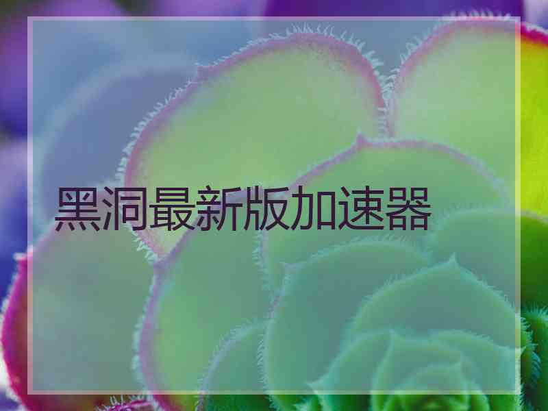 黑洞最新版加速器