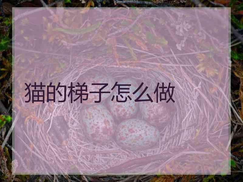 猫的梯子怎么做