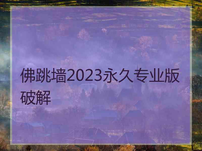 佛跳墙2023永久专业版破解
