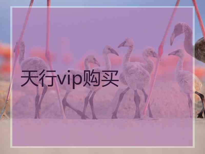 天行vip购买