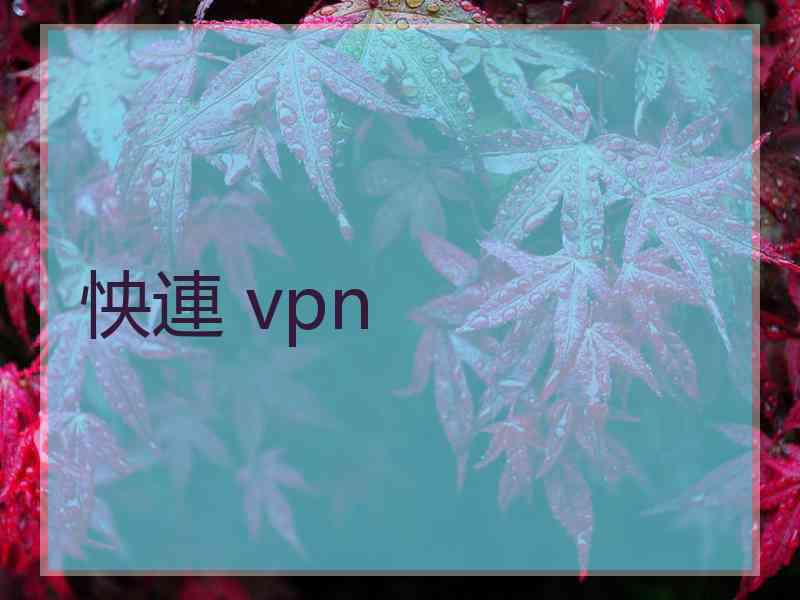 怏連 vpn