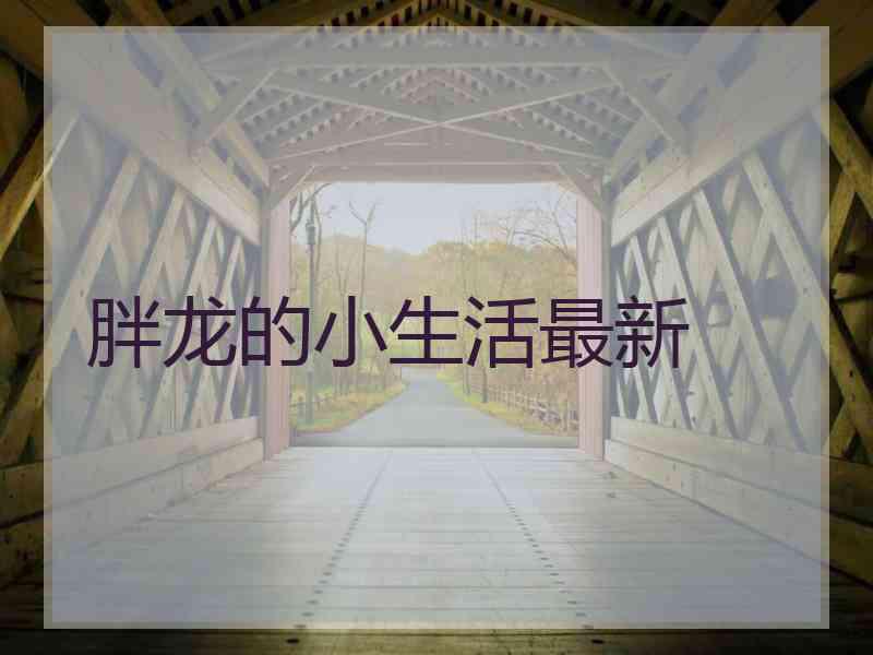 胖龙的小生活最新