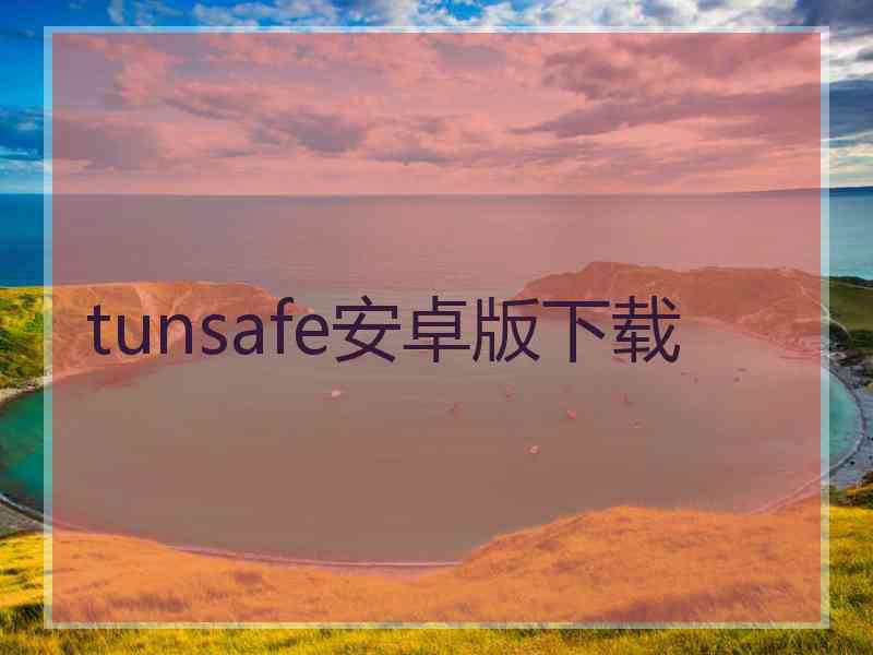 tunsafe安卓版下载