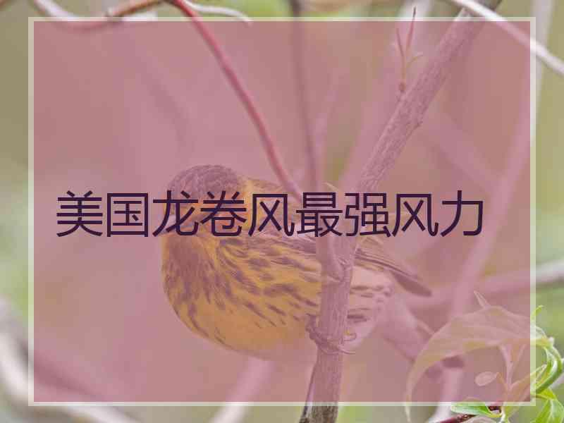 美国龙卷风最强风力