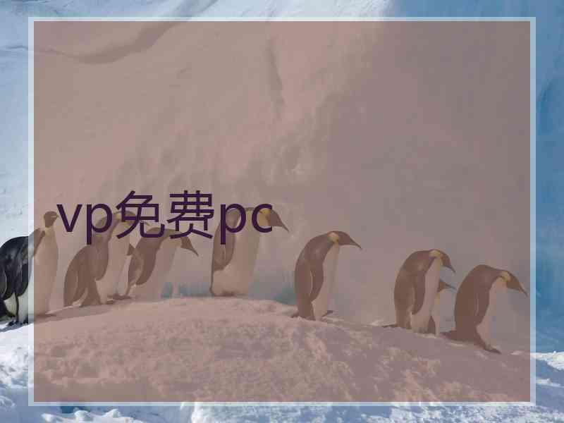 vp免费pc