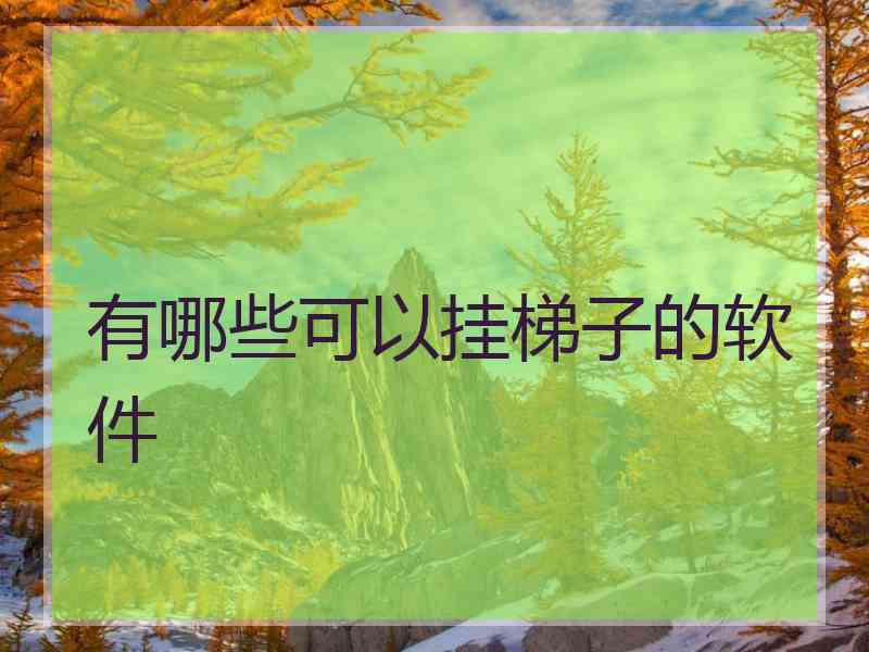 有哪些可以挂梯子的软件