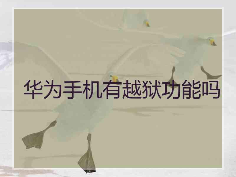 华为手机有越狱功能吗