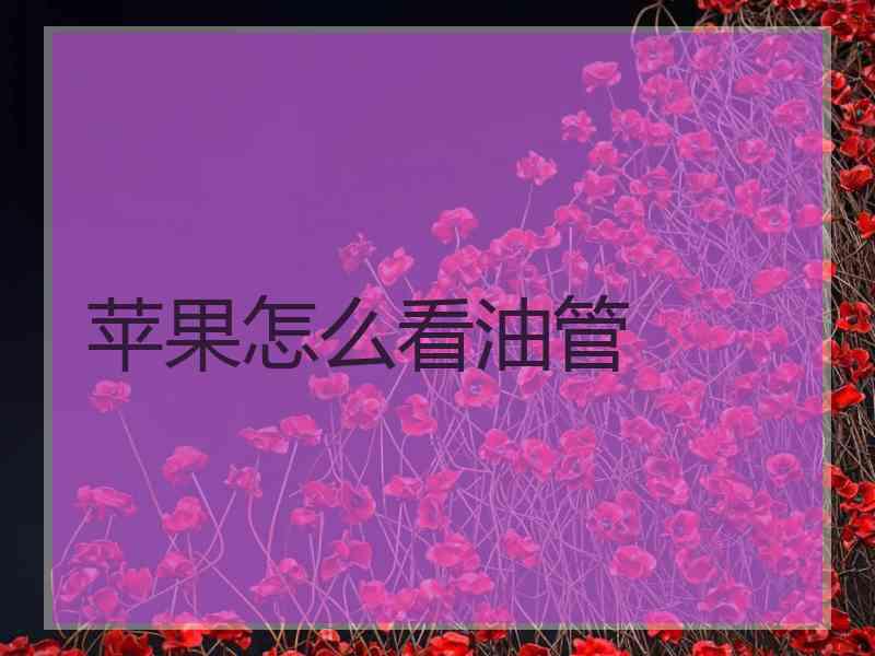 苹果怎么看油管