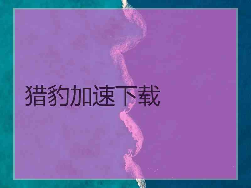 猎豹加速下载
