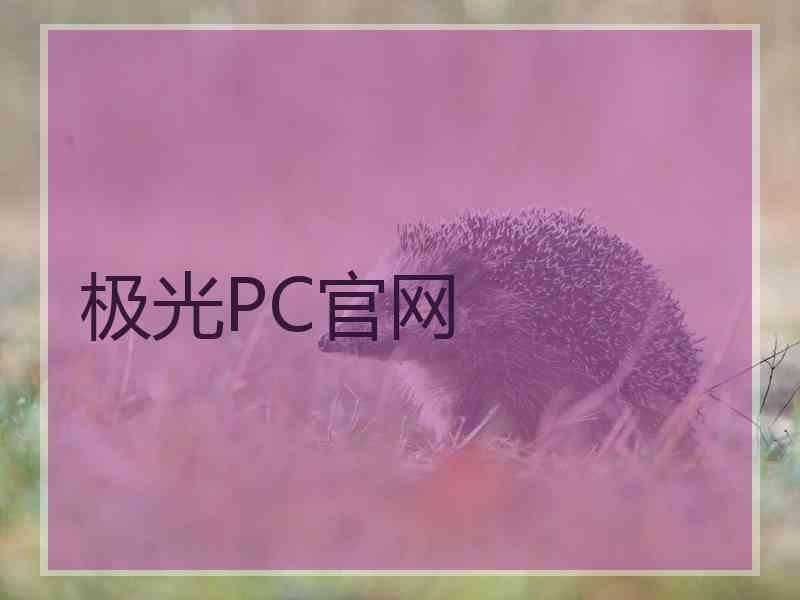极光PC官网