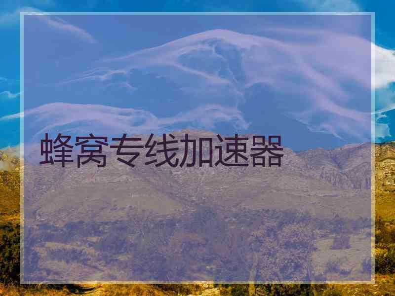 蜂窝专线加速器
