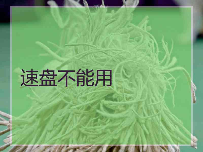 速盘不能用