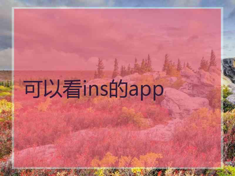 可以看ins的app