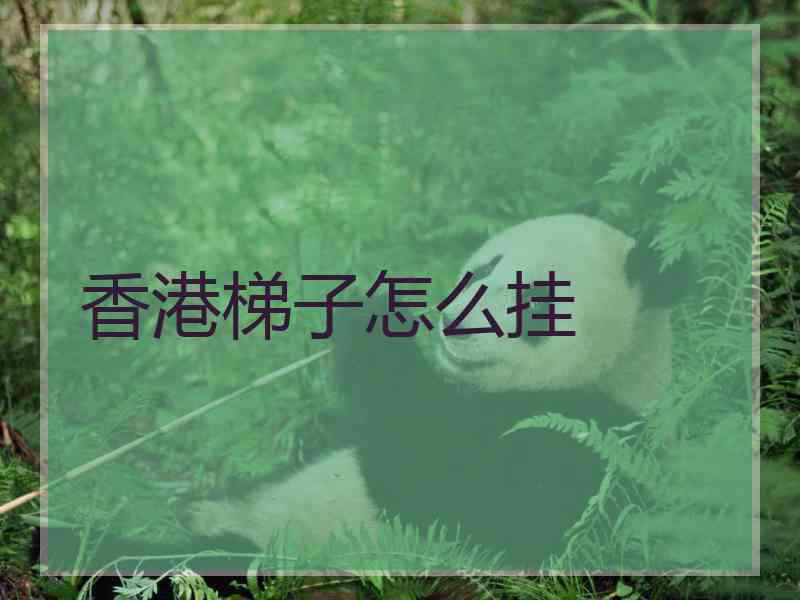 香港梯子怎么挂