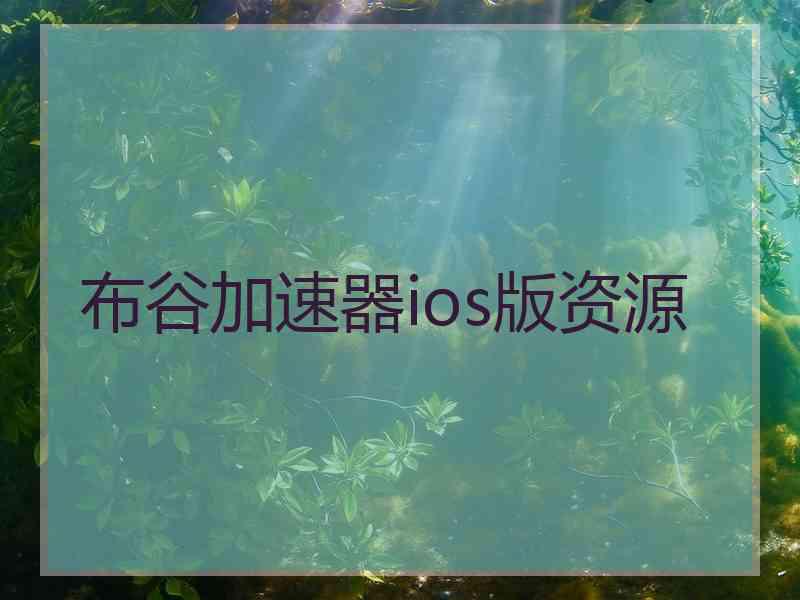 布谷加速器ios版资源