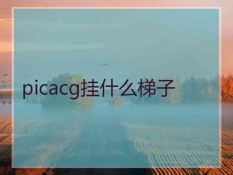 picacg挂什么梯子