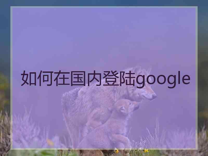 如何在国内登陆google