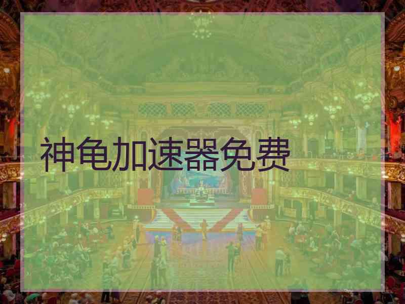神龟加速器免费