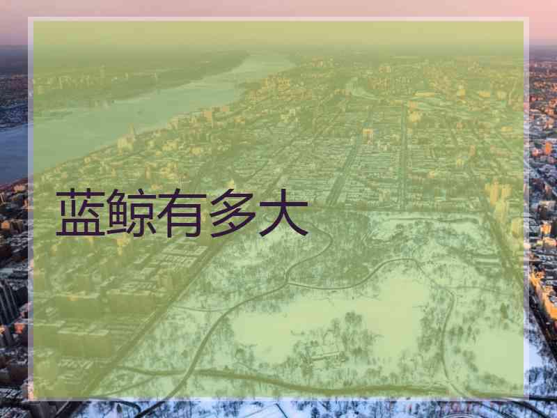 蓝鲸有多大