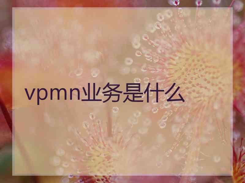 vpmn业务是什么