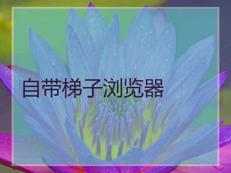 自带梯子浏览器