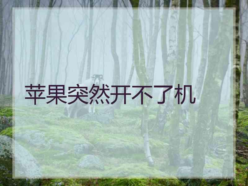 苹果突然开不了机
