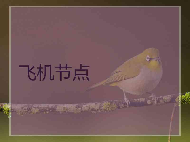 飞机节点