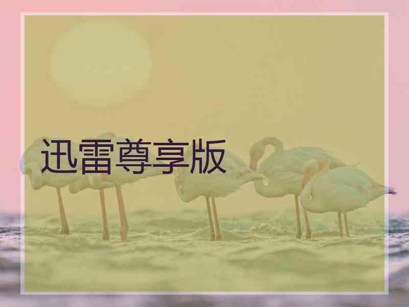 迅雷尊享版