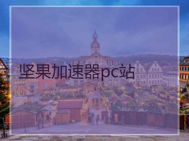 坚果加速器pc站