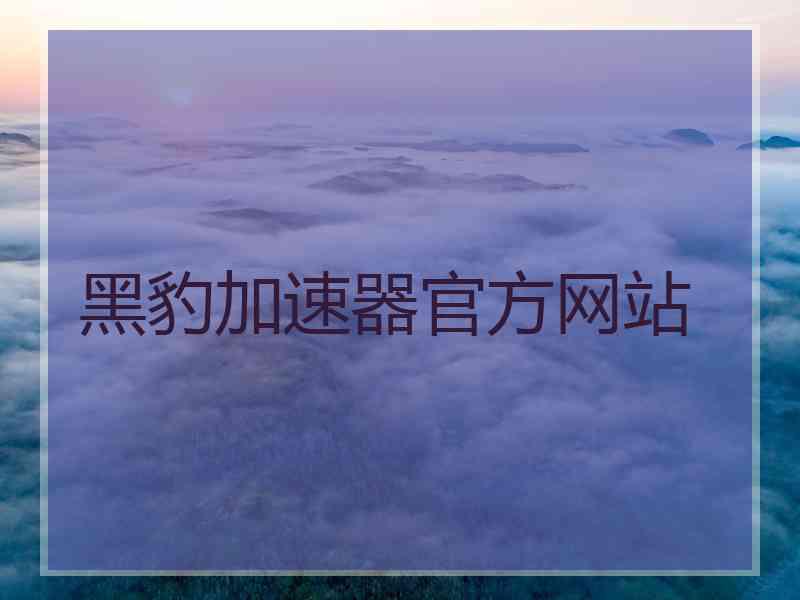 黑豹加速器官方网站