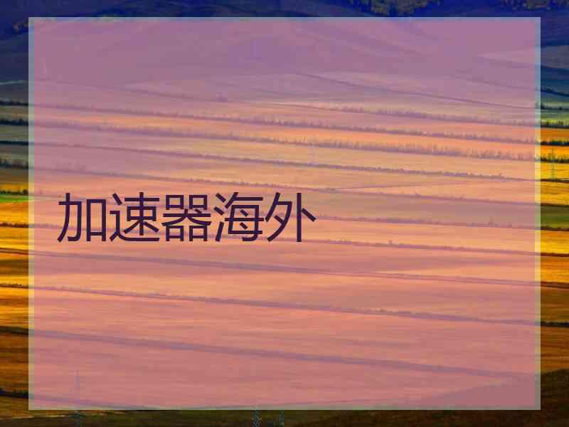 加速器海外