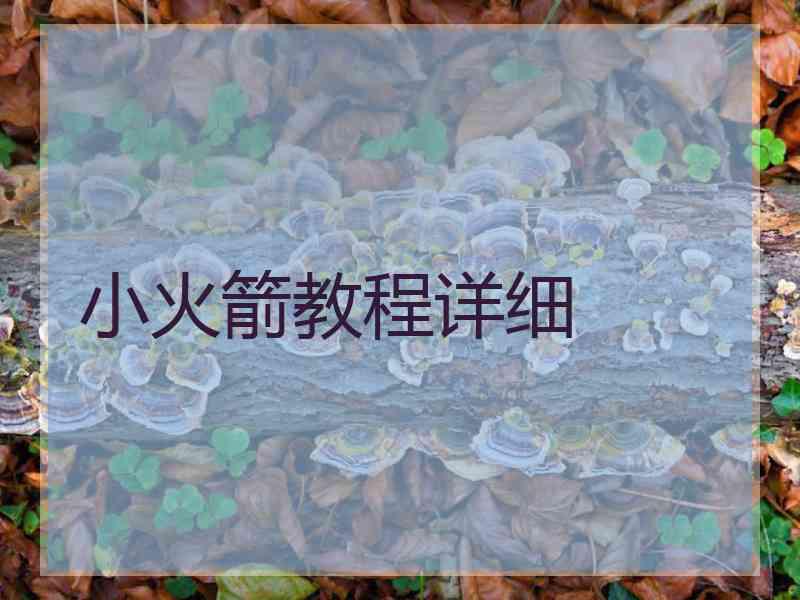 小火箭教程详细
