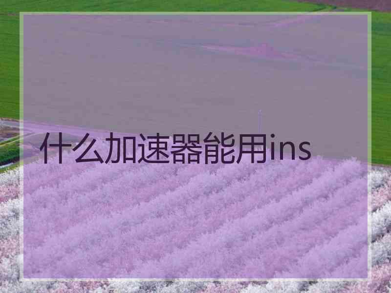 什么加速器能用ins