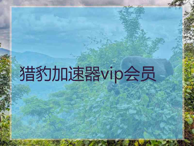 猎豹加速器vip会员