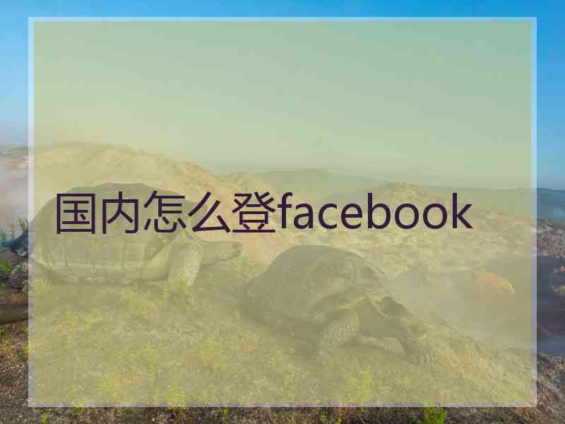 国内怎么登facebook
