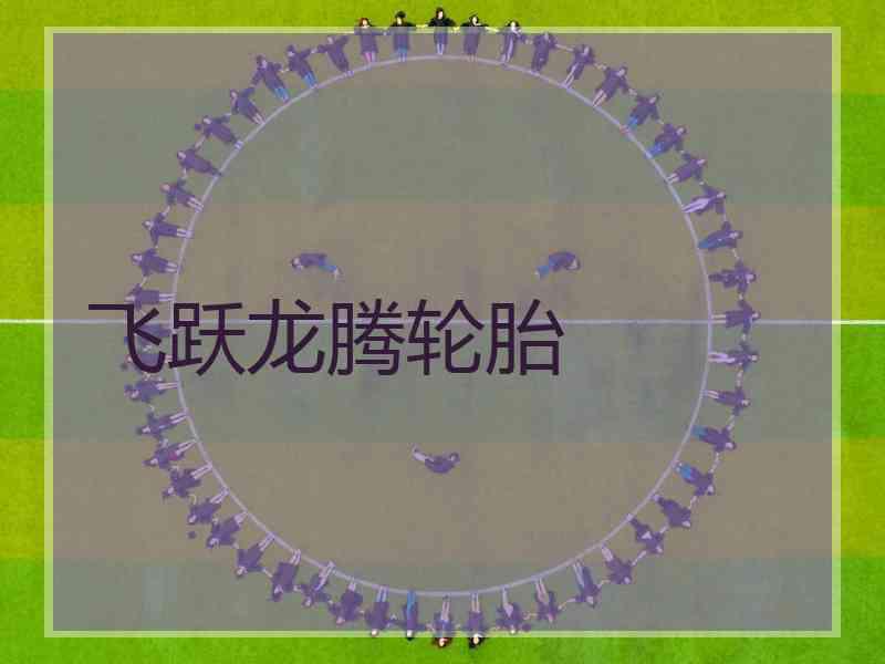 飞跃龙腾轮胎