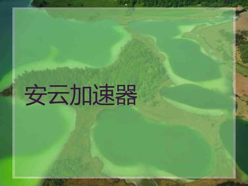 安云加速器